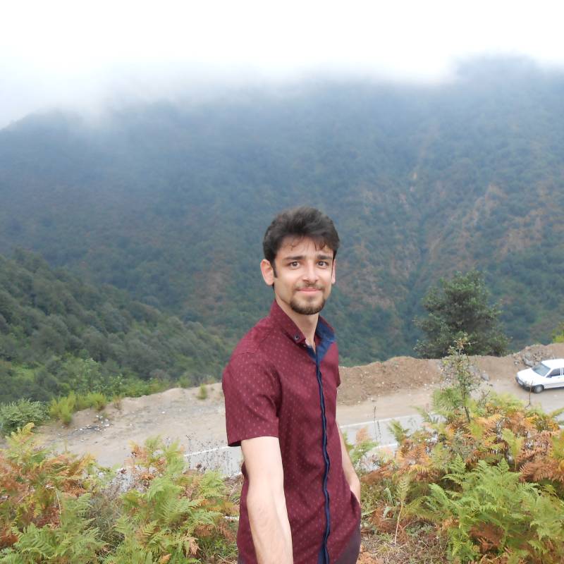 hosein, 36, Bonpara