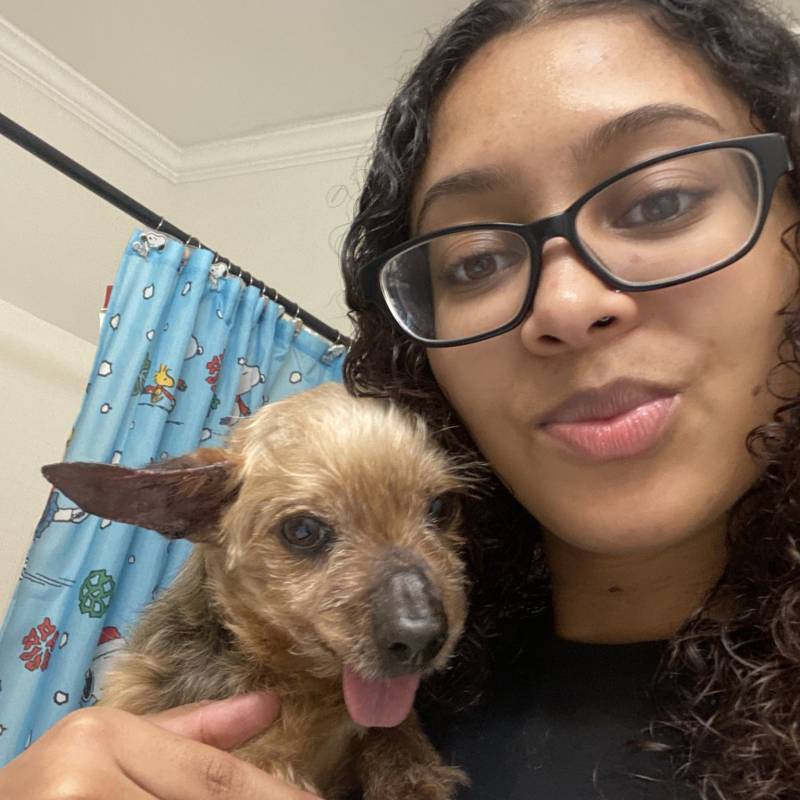 https://es.fivedate.com dating Toniyasugar in Países Bajos